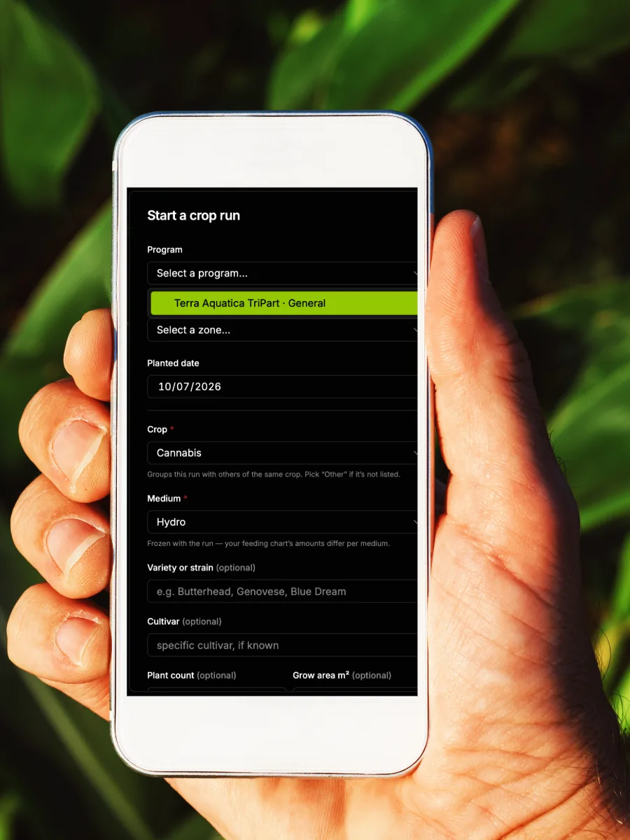 A grower holding a phone showing the HortiNode dashboard, starting a crop run out in the grow