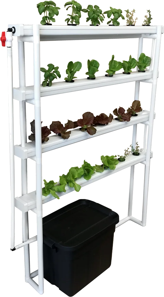 Four-tier vertical NFT system with lettuce and herbs, and its reservoir underneath