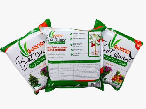 Bat Guano Organic Fertilizer – 2Kg Bag - Image 3