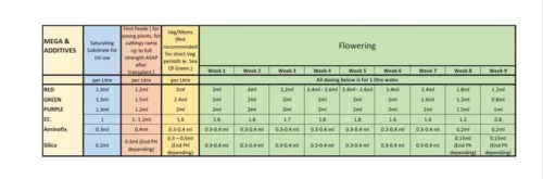 MEGA Solution Chart